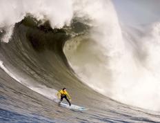 开云体育下载-中场永动机，佩德里如何在东决关键战之夜化身球队定海神针