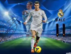 开云下载-赛场脉搏的律动，解读福克斯如何成为国王的节拍器