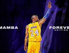 开云体育下载-逆袭之夜，活塞队的五小死亡战术如何绞杀深圳长城？