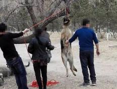 开云官网-和对手杀个你死我活：场面血腥可期的简单介绍