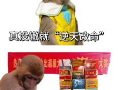 开云体育官方网站-过招如走钢丝，每一步都是考验