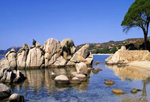 开云官方app入口-铁壁与琴弦，楚阿梅尼在加勒比风暴中奏响防守教科书