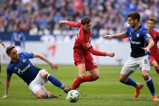 开云下载-弗赖堡客场击败对手，取得宝贵三分