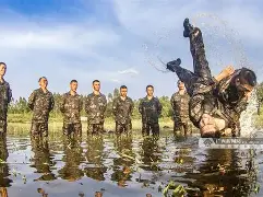 开云平台-关于DFM血洗BRO，Crisp操刀奇招英雄翻盘鏖战多局淘汰赛，引爆全场热议的信息