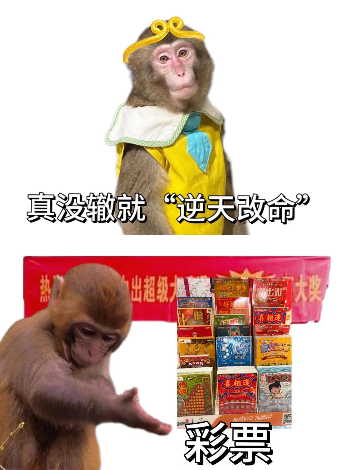 开云体育官方网站-过招如走钢丝，每一步都是考验