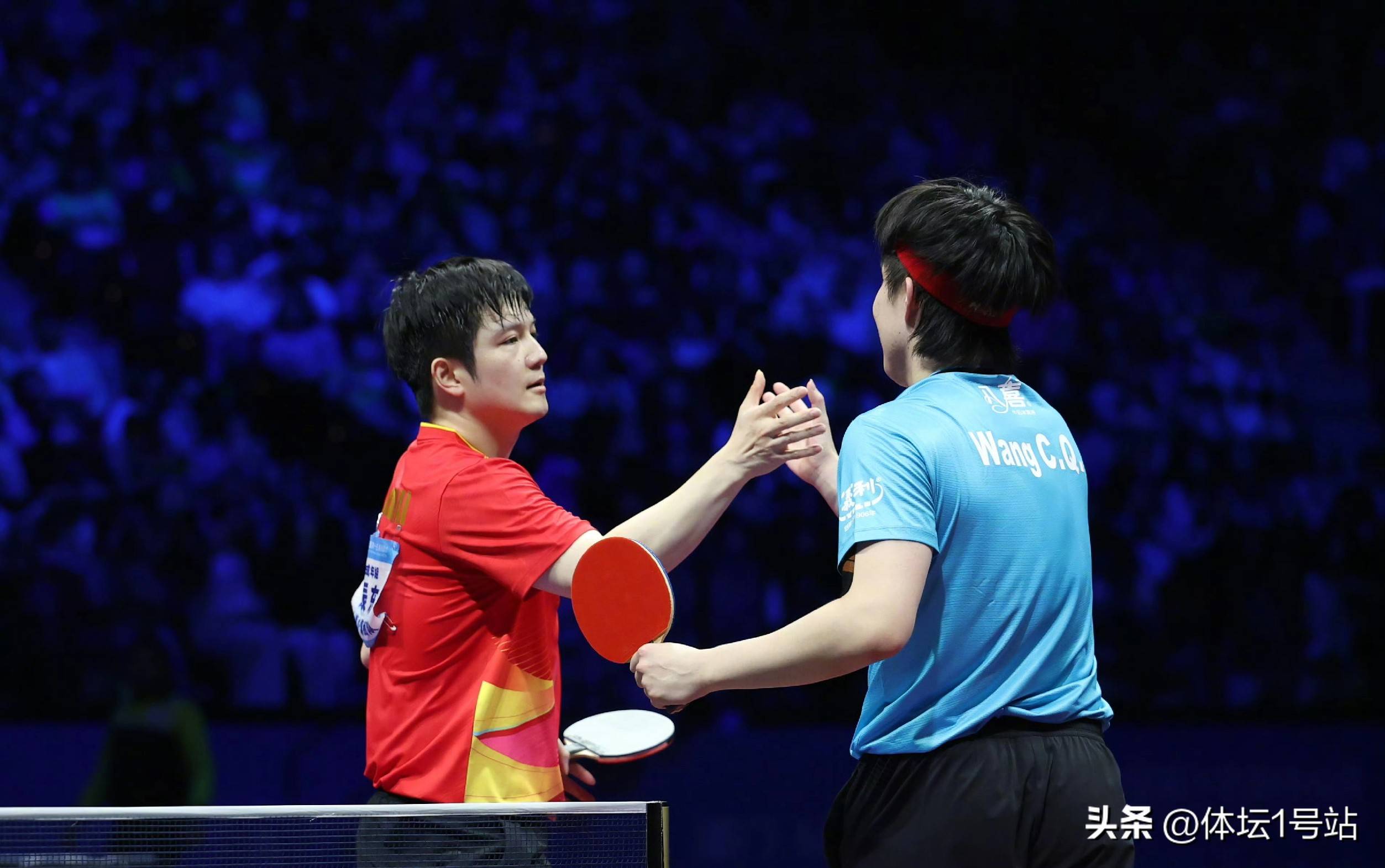 开云体育官方网站-波兰队完胜法国队，樊振东关键制胜